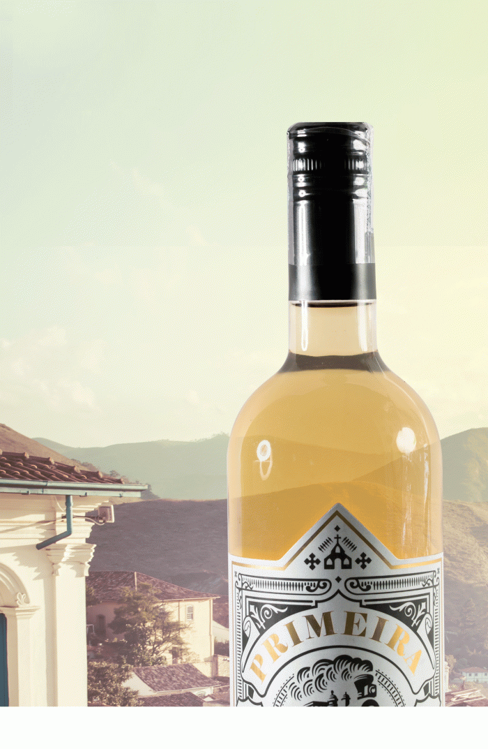 PRIMEIRA-DE-MINAS_01